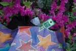 package from e