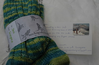 sockapaloooza package sockapaloooza package