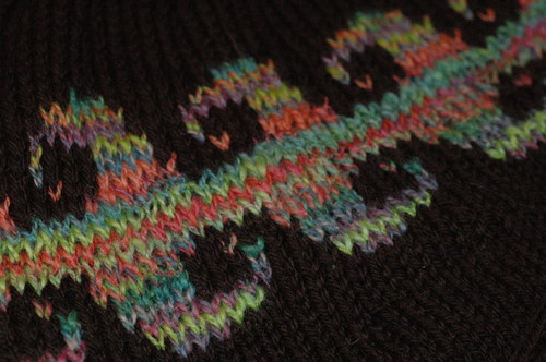 closeup