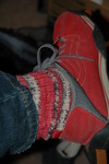 ladybugs and vans