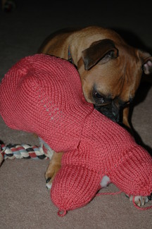 kara bear