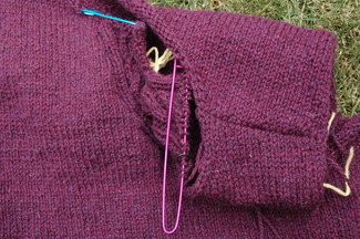 rogue shoulder