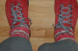 ladybug in vans