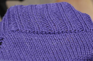 back of the neck