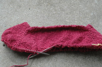 boatneck pinkbell