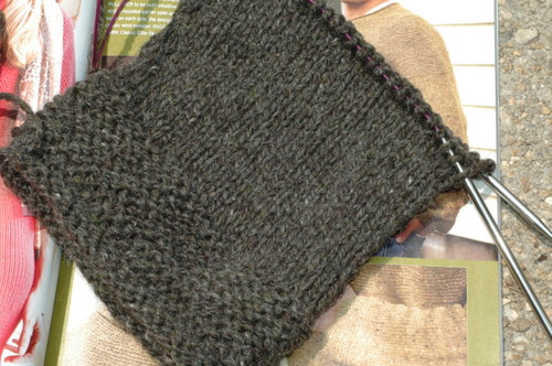 wooly sleeve
