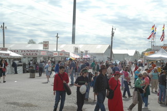 the concourse