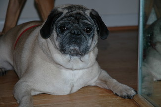 boris