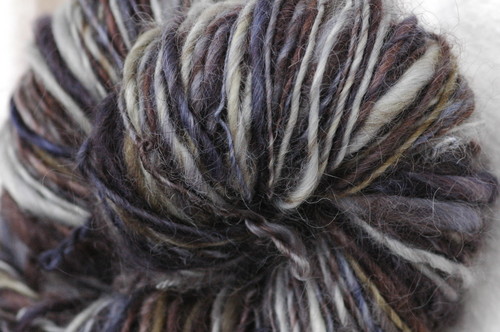 mollusc wensleydale