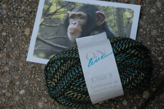 online highland sock yarn and monkey!